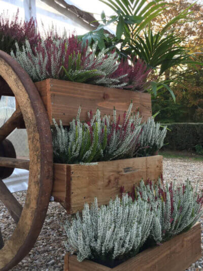 location Pyrénées Atlantiques Pau Pays Basque Mobiliers décorations événement agence mariage réception